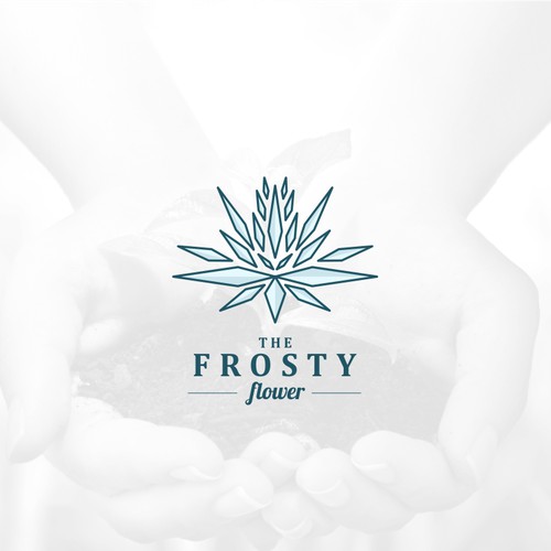 the frosty flower