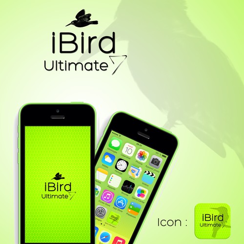 Create a splash screen and icon for iBird Ultimate for the iPhone