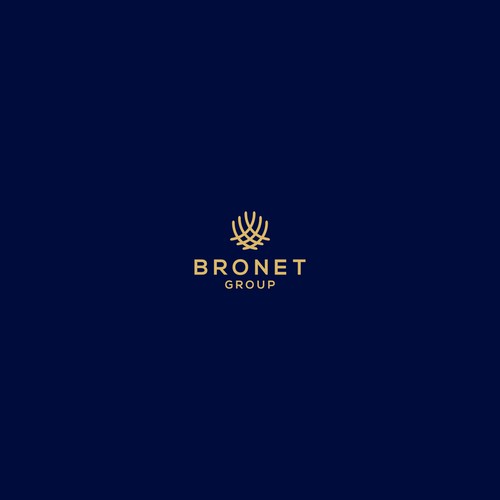 finance logo concept for bronet group