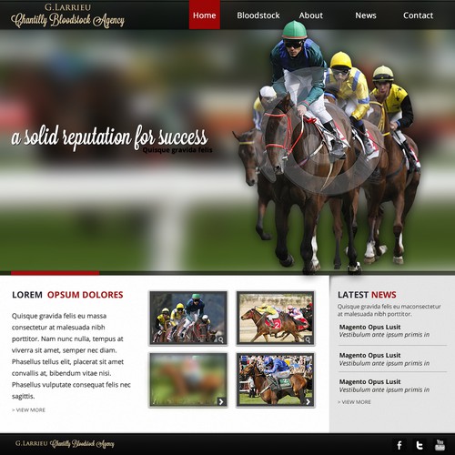 website design for Chantilly Bloodstock Agency (Responsive Web Design)