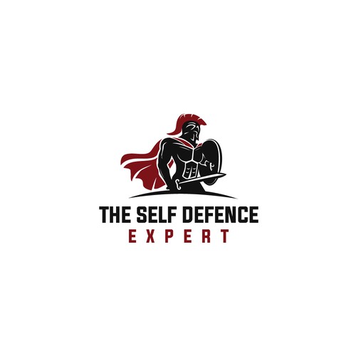 The Self Defence Expert