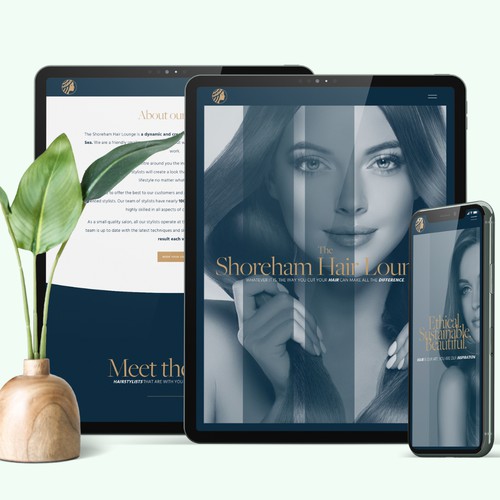 Professional Hair Salon Website